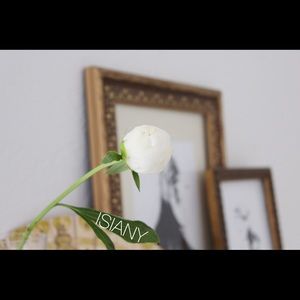 Meet your Posher, Isiany